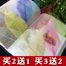 天然叶脉书签古风树叶简约创意可爱叶子古典中国风小学生diy材料