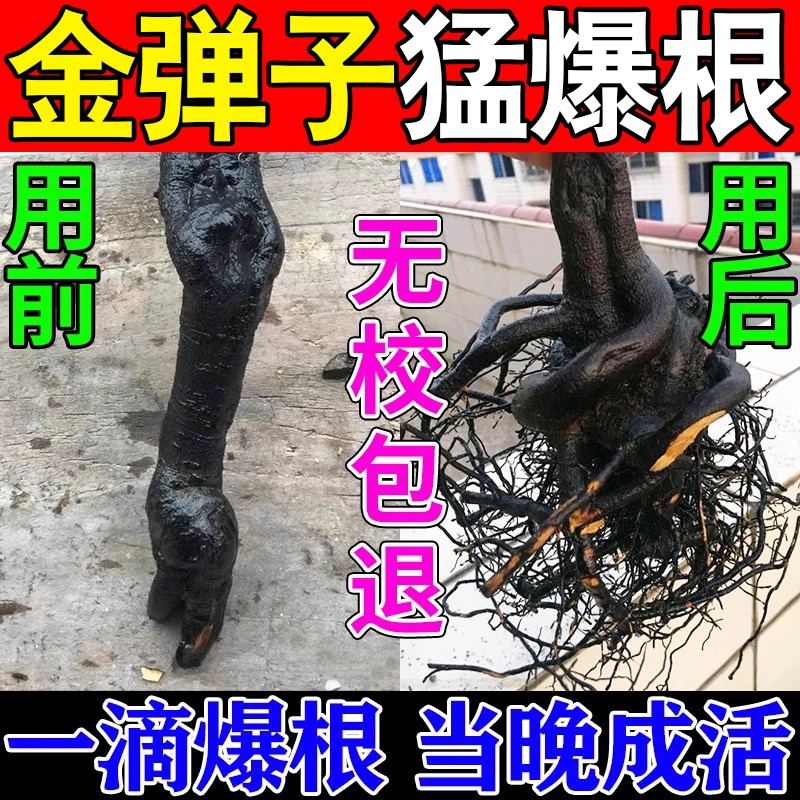 金弹子爆根剂专用肥药生根粉