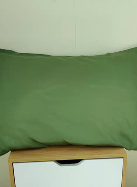 天丝A类莱塞尔枕套乳100支天丝成人单双人枕套长枕套定做特惠包邮