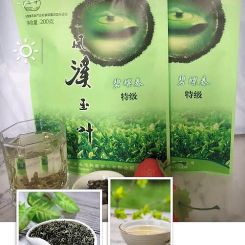 云南保山凤溪玉叶碧螺春