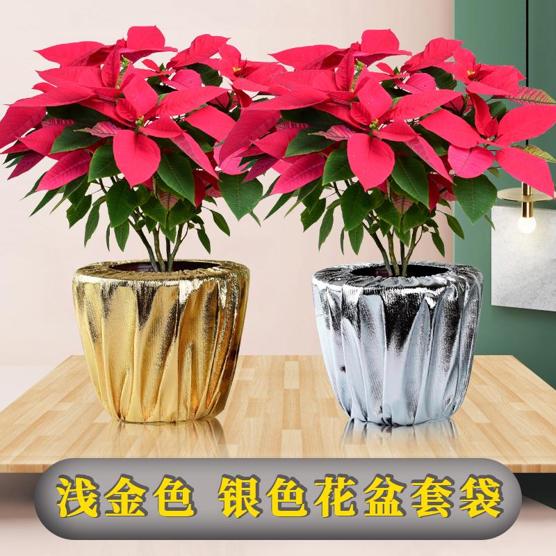 金色花盆套袋包装纸花盆