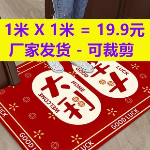 入户门地垫蛇年脚垫门口进门垫子地毯入门家用红色玄关门垫农村