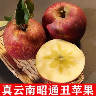 2025云南昭通正宗野生丑苹果冰糖心新鲜孕妇水果高原红露苹果整箱