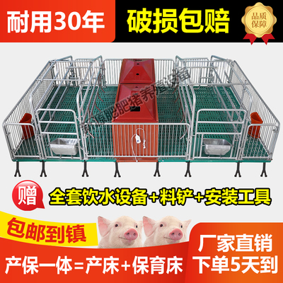 母猪产床猪用双体产保一体两用床