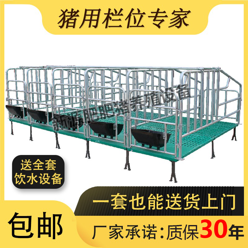 母猪定位栏母猪限位栏热镀猪用定位栏猪用限位栏母猪产床养猪设备