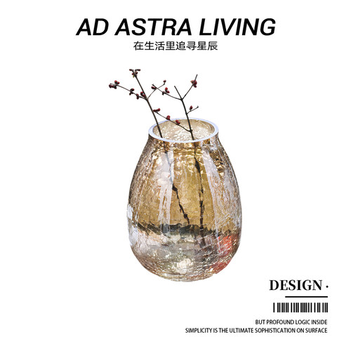 AD·ASTRA·冰裂纹玻璃花瓶