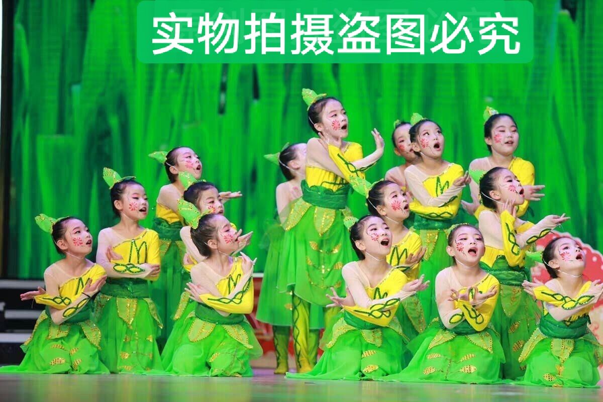笋儿尖尖舞蹈服儿童表演服民族舞蹈演出服