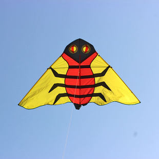 王侉子风筝大黄蜂蜜蜂成人专用大型三角易飞初学者好飞潍坊包邮