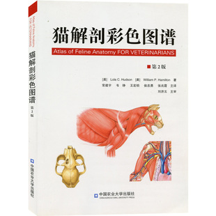 猫解剖彩色图谱  猫解剖生理 猫解剖学书籍 猫的解剖构造动物解剖图谱
