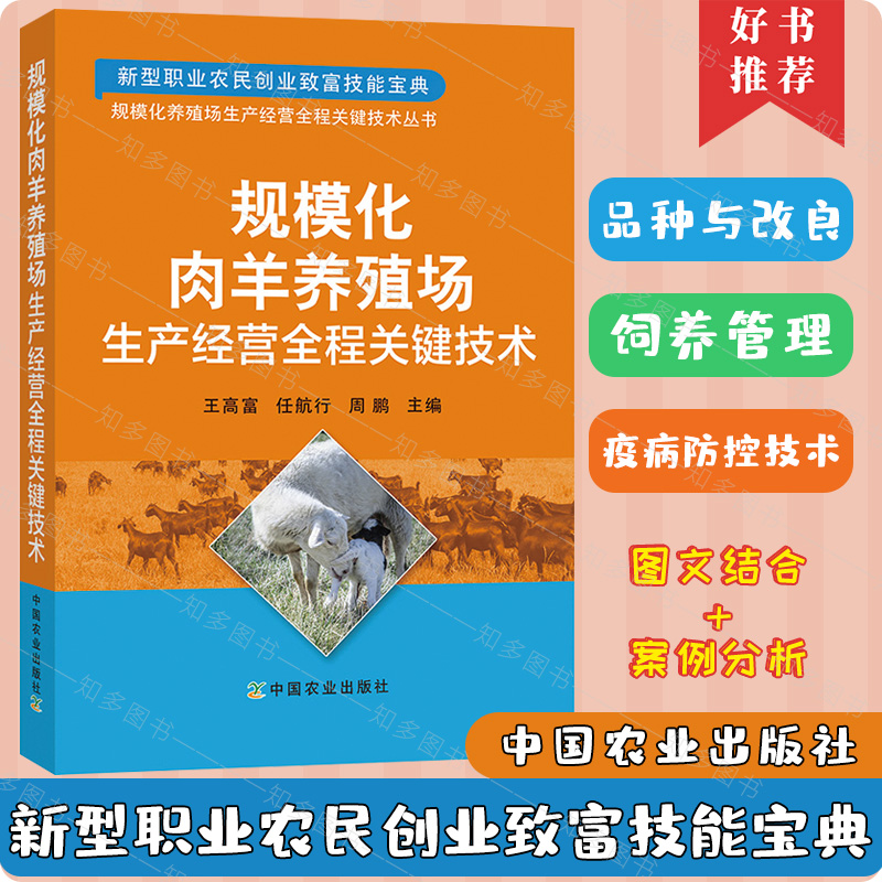 规模化肉羊养殖场生产经营