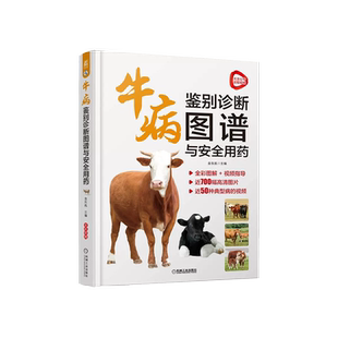 牛病鉴别诊断图谱与安全用药 牛病诊断牛病治疗全书肉牛养殖技术兽医手册牛病类症鉴别与诊治彩色图谱