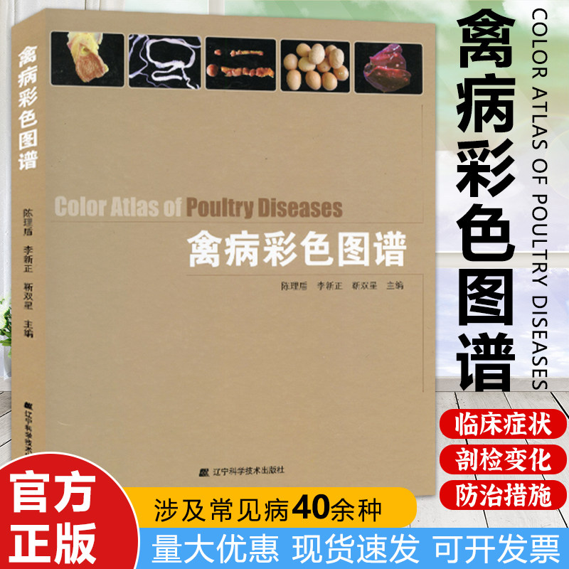 禽病彩色图谱 陈理盾 鸡鸭鹅养殖疾病诊断治疗书籍高效养鸡技术大全常见养鸡疾病诊断与防护临床症状病理变化诊断和防治养殖书