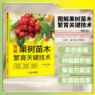 图解果树苗木繁育关键技术 嫁接苗 砧木 实生苗 分株苗 归圃苗 扦插苗 苹果 梨 山楂 杏 李子 樱桃 葡萄 草莓 榛子 蓝莓