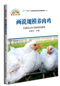 画说规模养肉鸡 李连任 主编 养殖 中国农业科学技术出版社 9787511630315