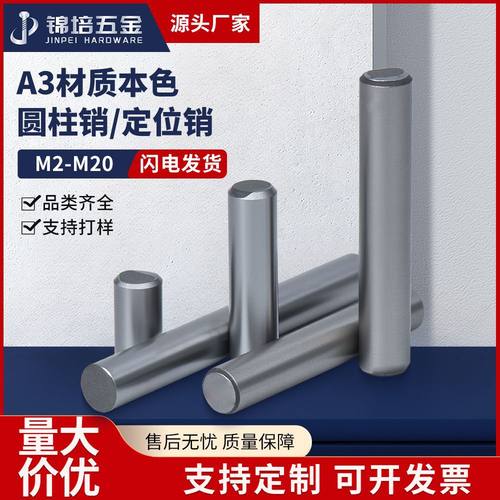 铁圆柱销碳钢定位销钉实心固定销轴A3本色1米销钉M1-M50规格齐全