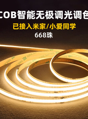 无极调光低压灯带COB智能灯带