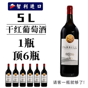 智利原酒进口高端红酒14度法瑞拉干红葡萄酒5L10斤大瓶礼盒装送礼