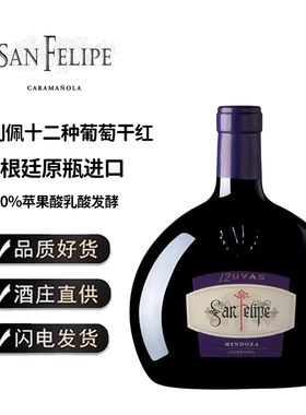 RUTINI SAN FELIPE阿根廷瑞帝利圣菲利佩12种葡萄干红葡萄酒红酒