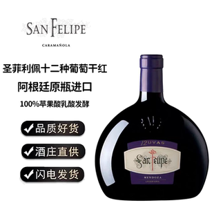 RUTINI SAN FELIPE阿根廷瑞帝利圣菲利佩12种葡萄干红葡萄酒红酒