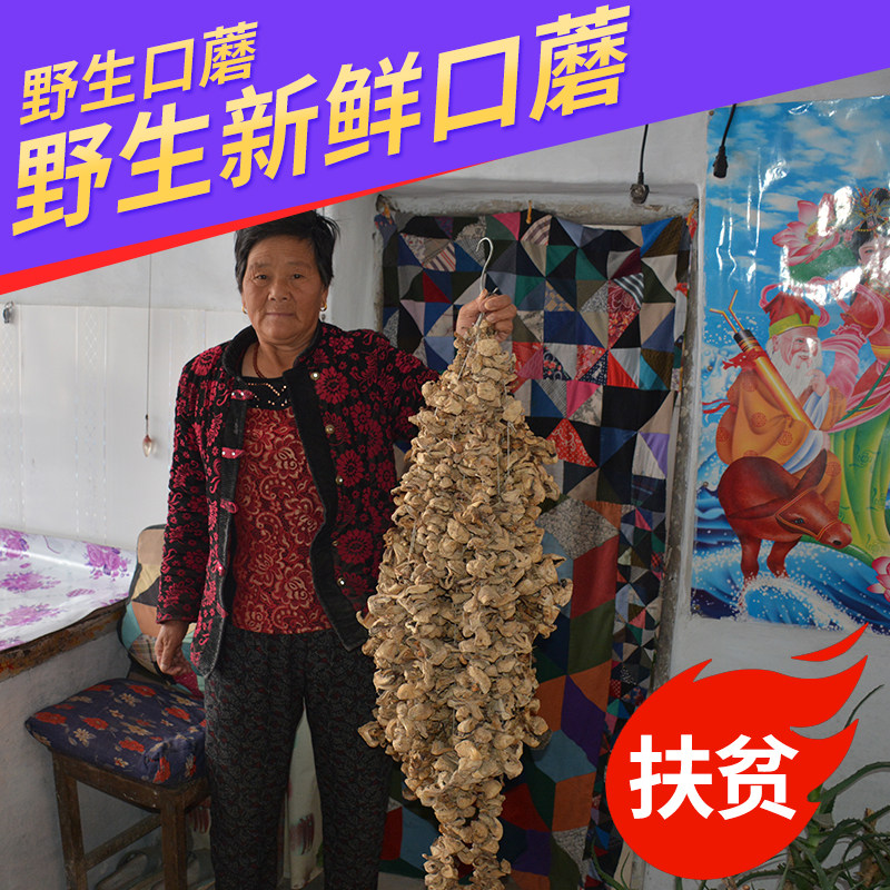 Wild mushrooms Zhangjiakou Bashang Grassland White mushroom Farm Succulent 250g dried foodin the Agri rice/Dried foods/Condiment , Dried foods/Meat Dry , Dry/Native , Mushroom category  category - from Buy2taobao.com to provide professional Taobao agent buy service