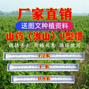 淮山/山药种植u型浅生槽塑料定向槽引导槽培育模具管槽加厚山药槽