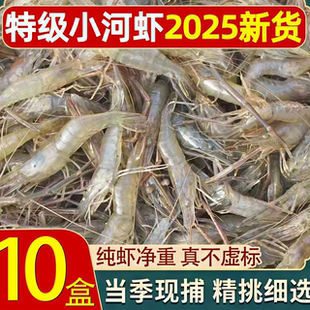 小河虾鲜活速冻新鲜河虾小白虾青虾冷冻明虾海鲜水产现捕小河虾