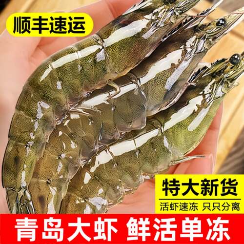 大虾特大号鲜活冷冻活虾速冻基围虾海虾海鲜水产新鲜青虾对虾鲜虾