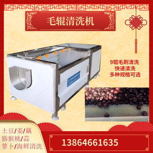 牡丹根去皮清洗机 全自动毛刷辊洗姜机 多功能根茎类药材清洗定金
