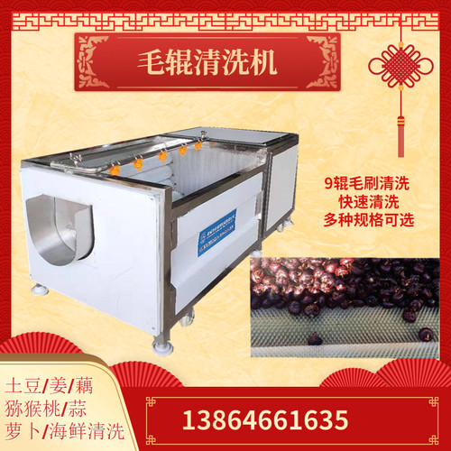 牡丹根去皮清洗机 全自动毛刷辊洗姜机 多功能根茎类药材清洗定金