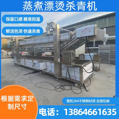中型杀青漂烫机受热均匀自动蒸煮设备农贸市场野菜清洗漂烫线定金