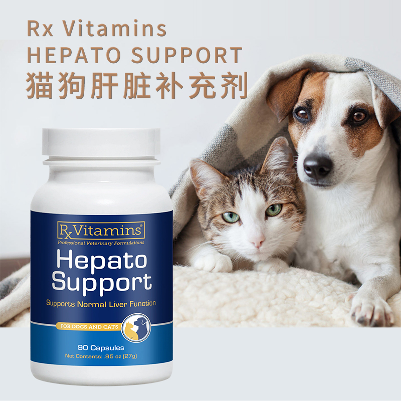 美国RxVitamins Hepato Support水飞蓟猫犬护肝脏抗氧宠物维生素
