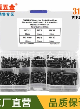 310pcs M3 黑色高强度杯头内六角螺丝螺母组合配内六角扳手盒装