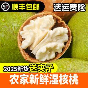 四川核桃工厂店2025年新鲜湿核桃去青皮核桃孕妇水果5斤老树去薄皮嫩核桃新货