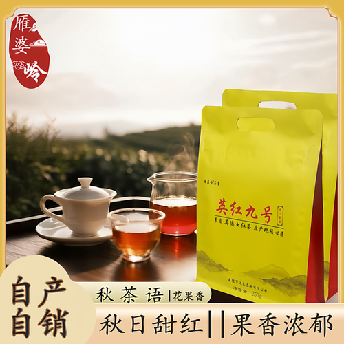英红九号核心产区口粮茶红茶