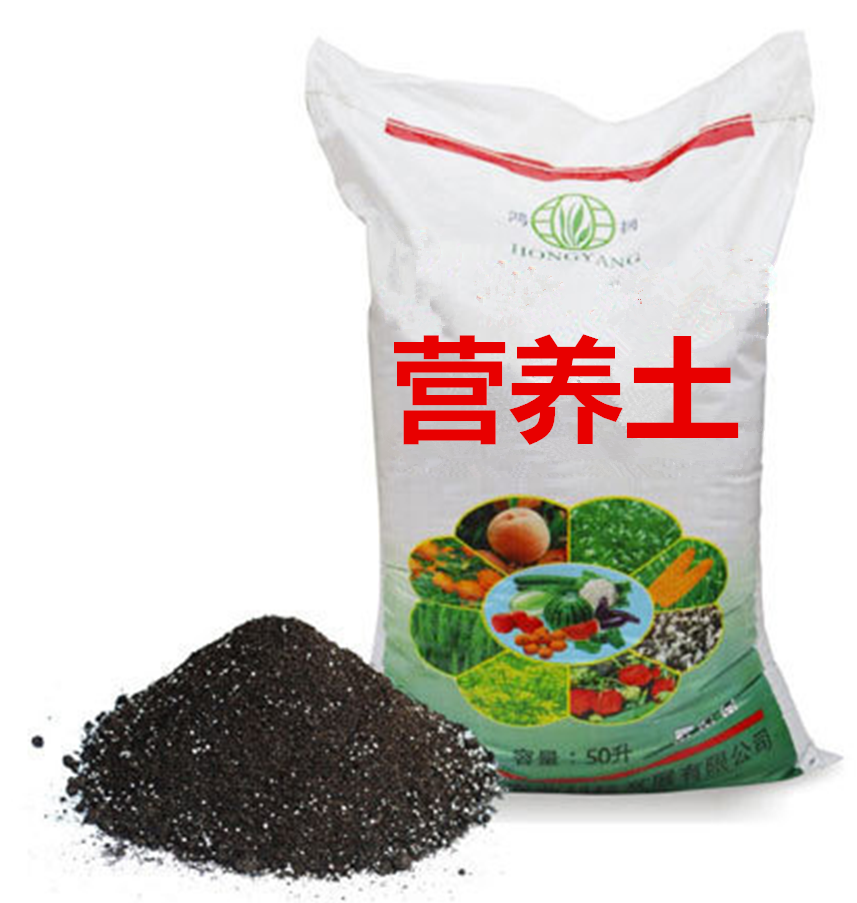杨力讲饮食与营养