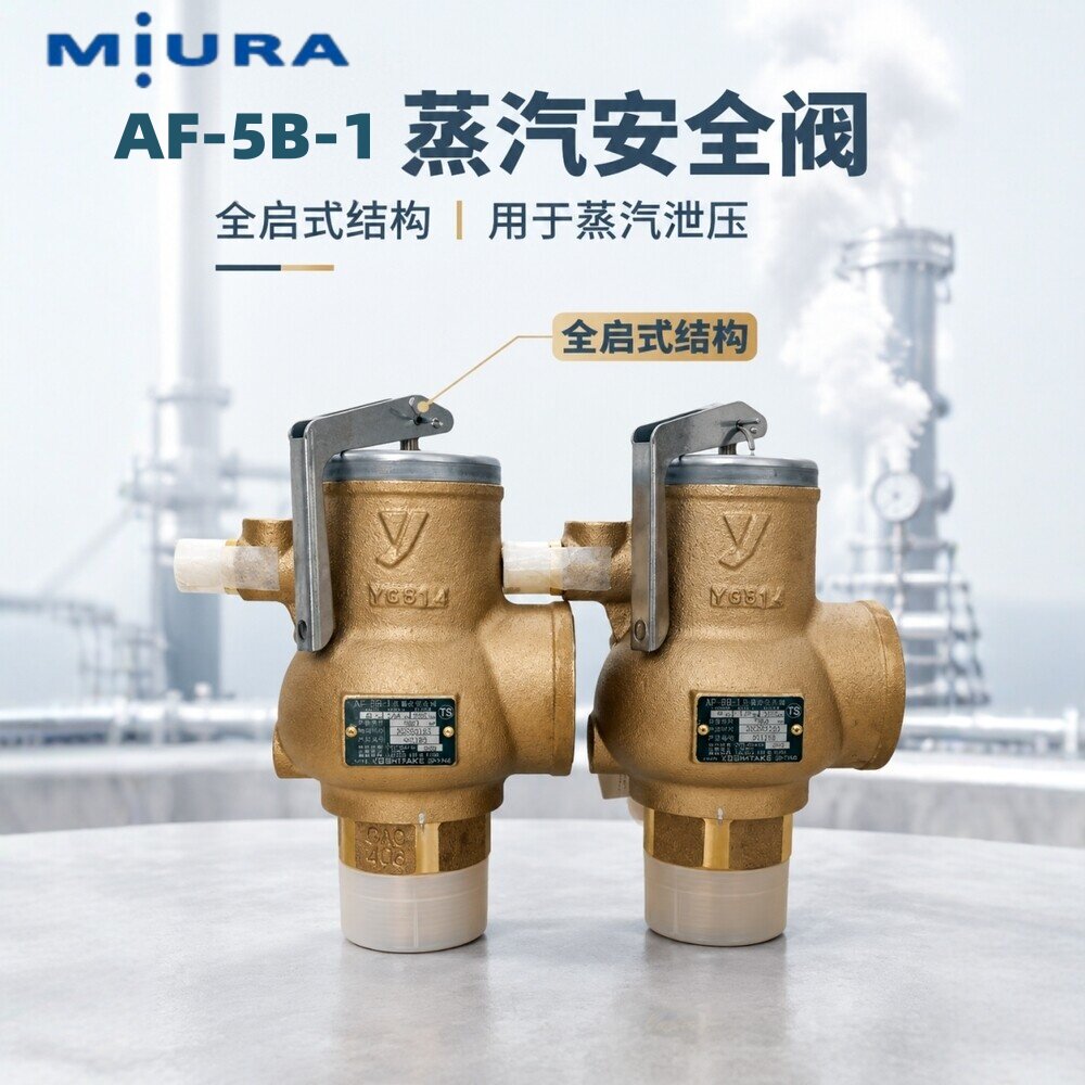 三浦工业蒸汽锅炉安全阀AF-5B-1