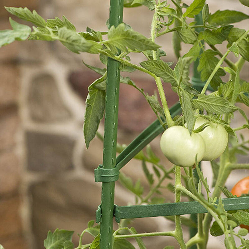 田田绿植物蔬菜攀爬架西红柿番茄豆角黄瓜爬藤架子阳台菜园花架攀使用感如何?