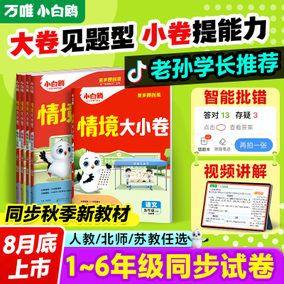 2025万唯小白鸥情境卷大小卷