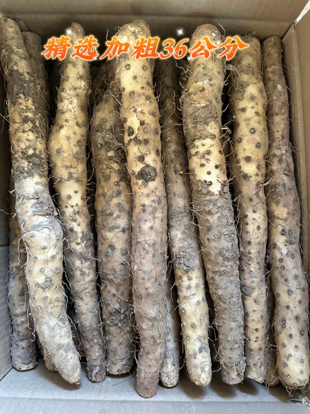 精选加粗温县垆土铁棍山药怀山药软糯香甜5斤装(精选加粗)