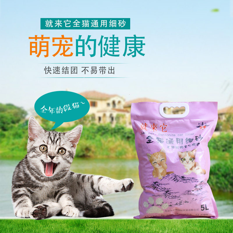 新品就来它小宠物专用细砂幼猫仓鼠兔子龙猫厕所垫料结团用品包邮,宠物/宠物食品及用品,玩具/造景装饰,淘宝优惠券,粉丝福利购,淘宝优惠卷