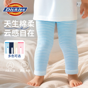 宝宝纯棉亲肤透气男女孩打底裤 Dickies儿童2025新款 秋季