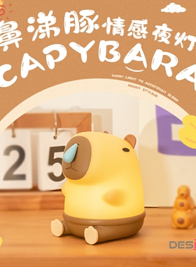 半点创意卡皮巴拉鼻涕豚情感夜灯卧室睡眠婴儿喂奶充电护眼床头灯