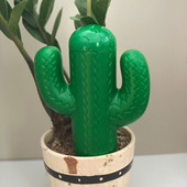 新款 大容量绿色仙人掌自动浇花器庭院盆栽植物滴灌渗水器浇花系统