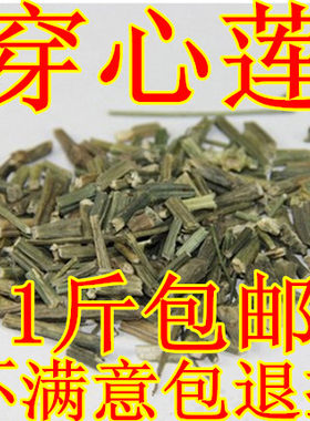 穿心莲 穿心连 中药材供应 苦胆草 四方莲 500克包邮