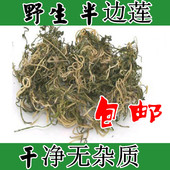 急解索 中药材半边莲 瓜仁草 新鲜干货500g半边连 细米草 包邮