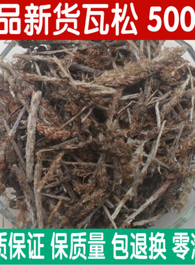 中药材正品瓦松包邮500克瓦松草 瓦花 向天草 天王铁塔草