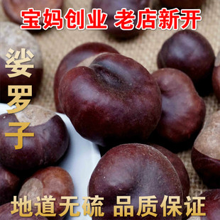 中药材 娑罗子 梭罗子 婆罗子 桫椤果 梭罗果500克包邮天然无添加