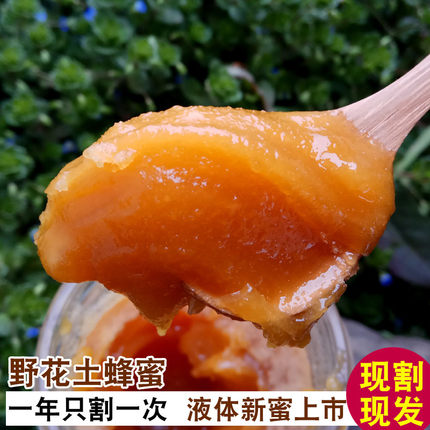 纯正蜂蜜正宗土蜂蜜天然农家自产深山野生蜜源百花蜜结晶蜜500g