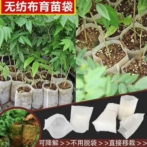 新品营养钵育苗袋白色无纺布