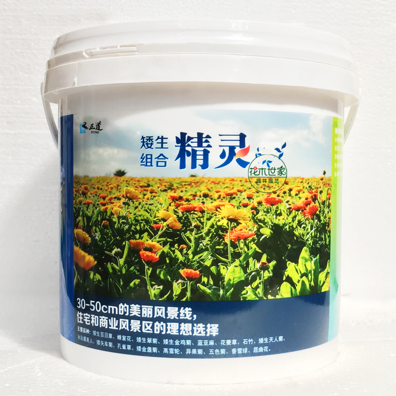 进口矮生/宿根野花组合种子 多年生耐旱易活别墅庭院花海草花包邮